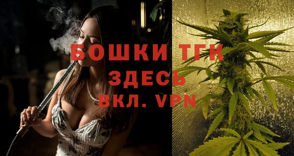 ГАЛЛЮЦИНОГЕННЫЕ ГРИБЫ Баксан