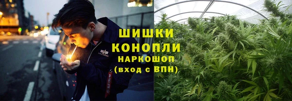 ПСИЛОЦИБИНОВЫЕ ГРИБЫ Осинники